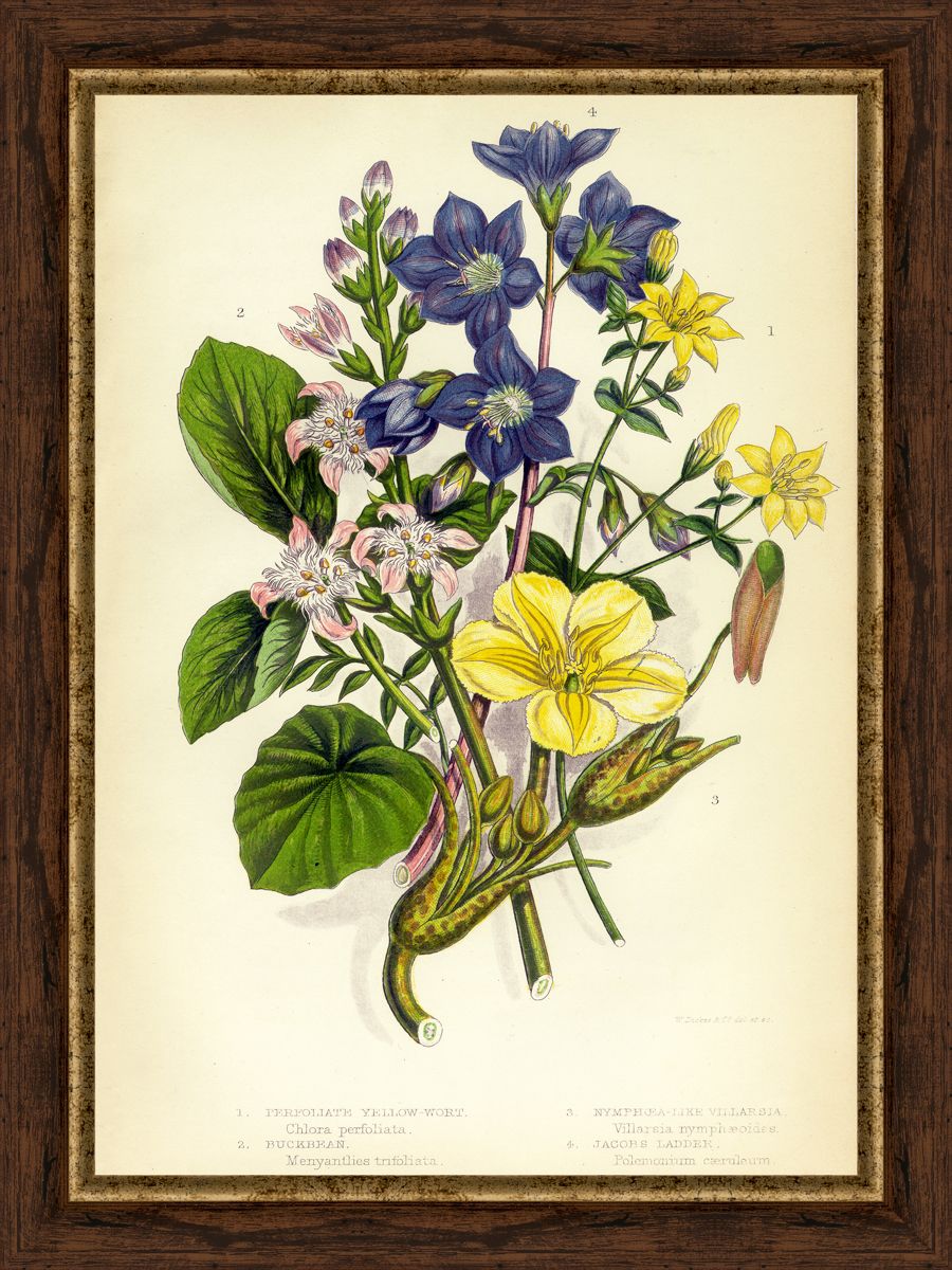 Картина в багете 30x40 см "Цветы и растения 4" BE-103-360