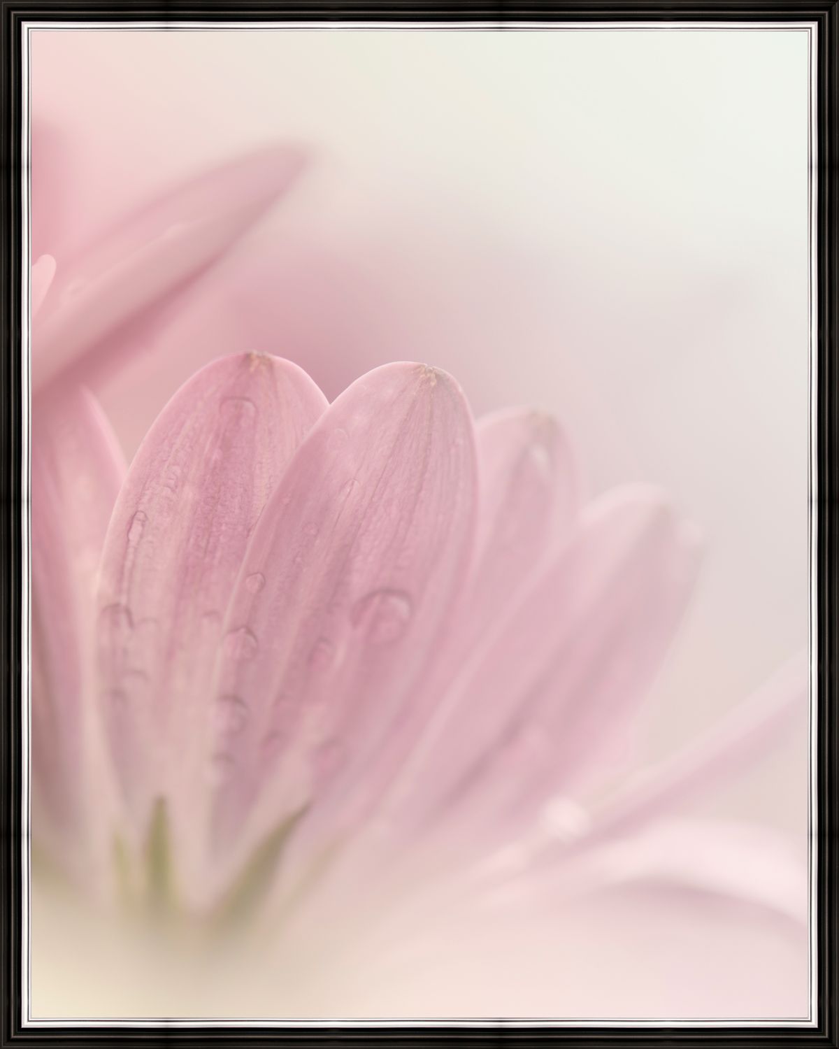 Картина в багете 40x50 см "Нежно-розовый цветок" BE-103-262