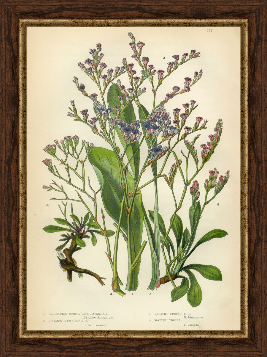 Картина в багете 30x40 см "Цветы и растения 3" BE-103-359