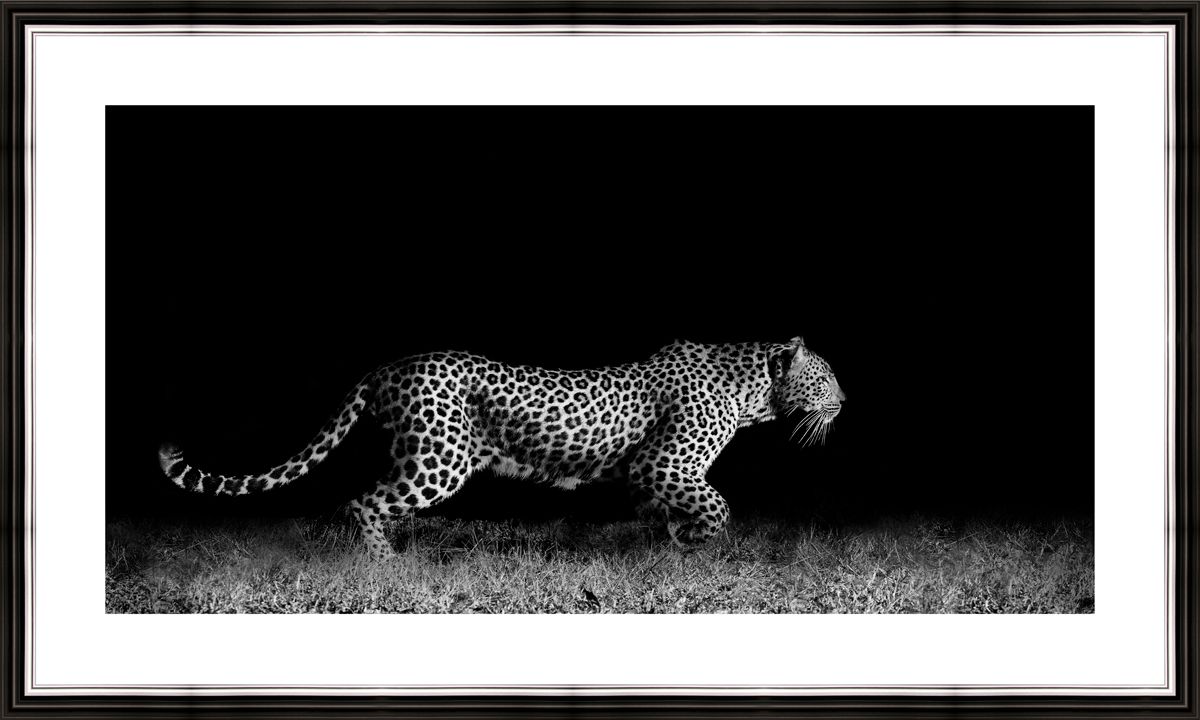 Картина в багете 50x30 см "Леопард ночью" BE-103-329