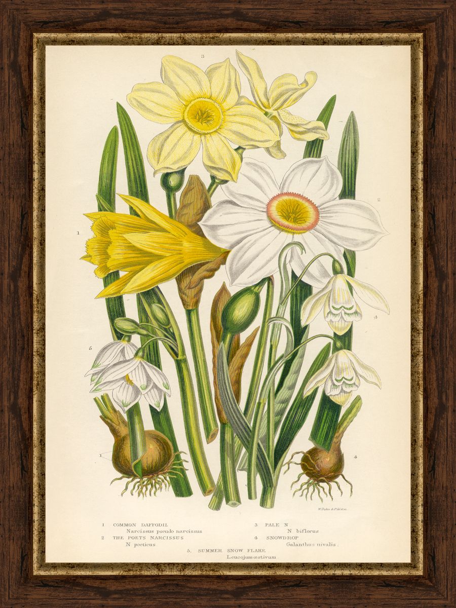 Картина в багете 30x40 см "Цветы и растения 2" BE-103-358