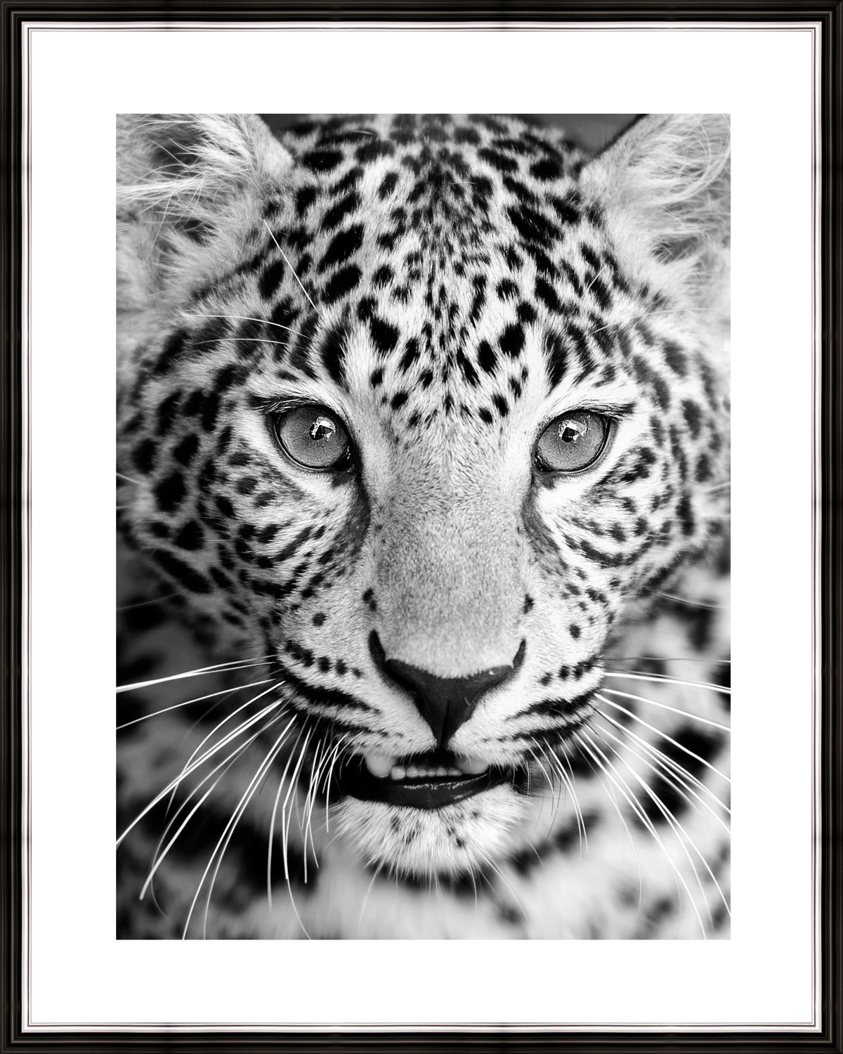 Картина в багете 40x50 см "Леопард" BE-103-327
