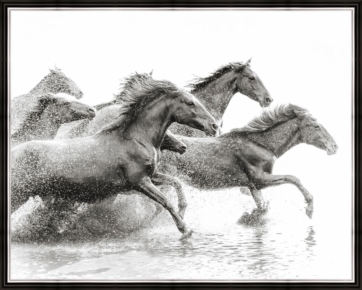 Картина в багете 50x40 см "Кони бегущие по воде" BE-103-317