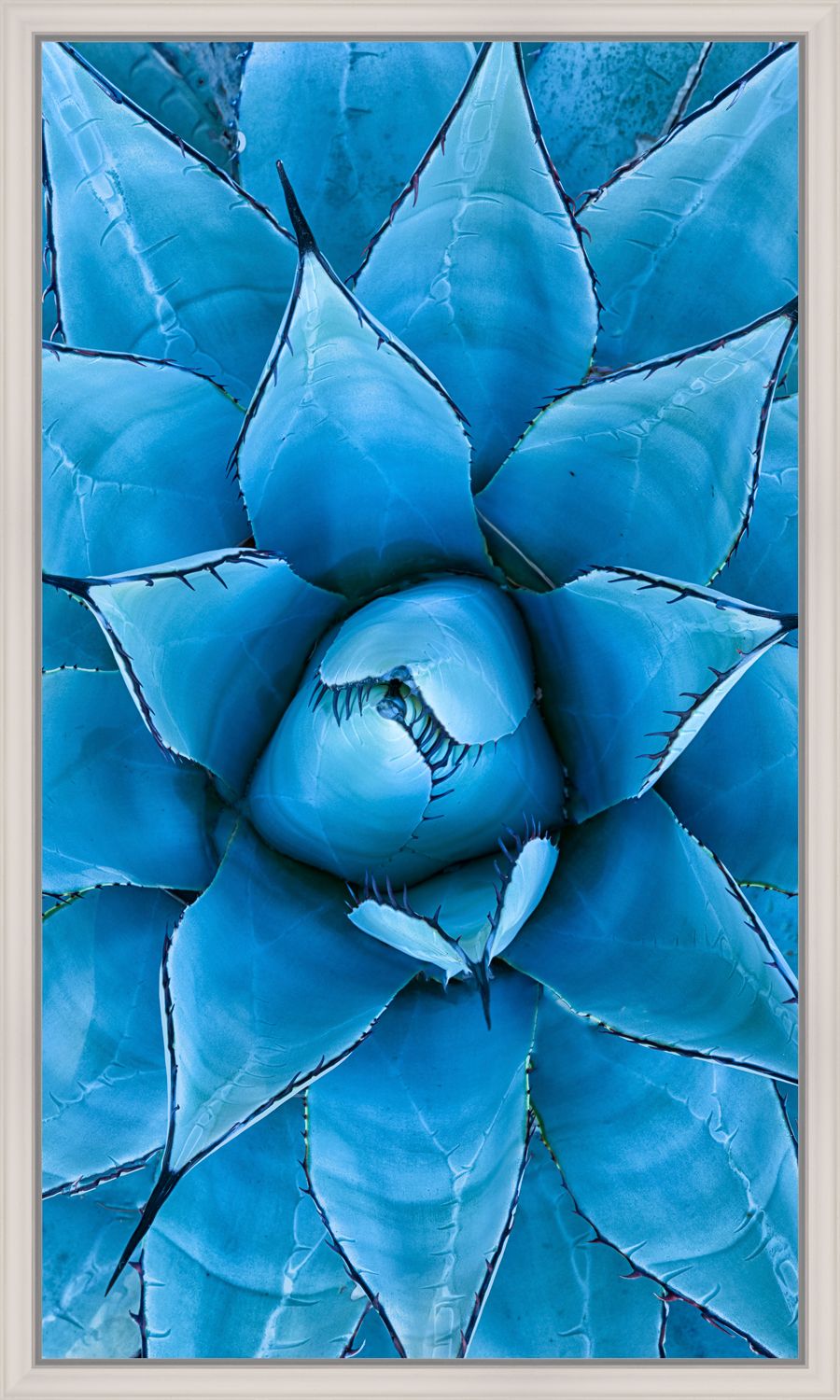 Картина в багете 30x50 см "Синяя агава" BE-103-240