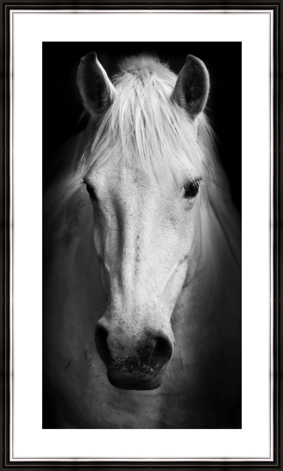 Картина в багете 30x50 см "Белый конь" BE-103-318